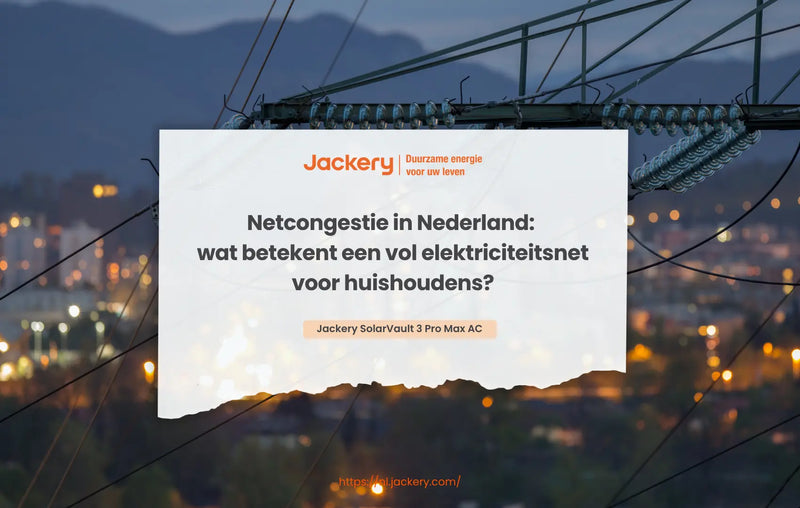 Netcongestie in Nederland
