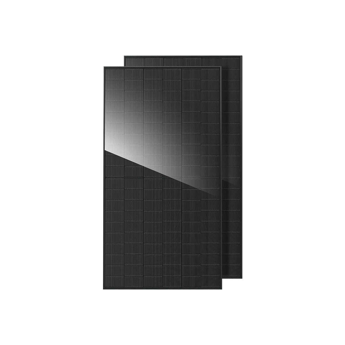 Bifaciale zonnepanelen